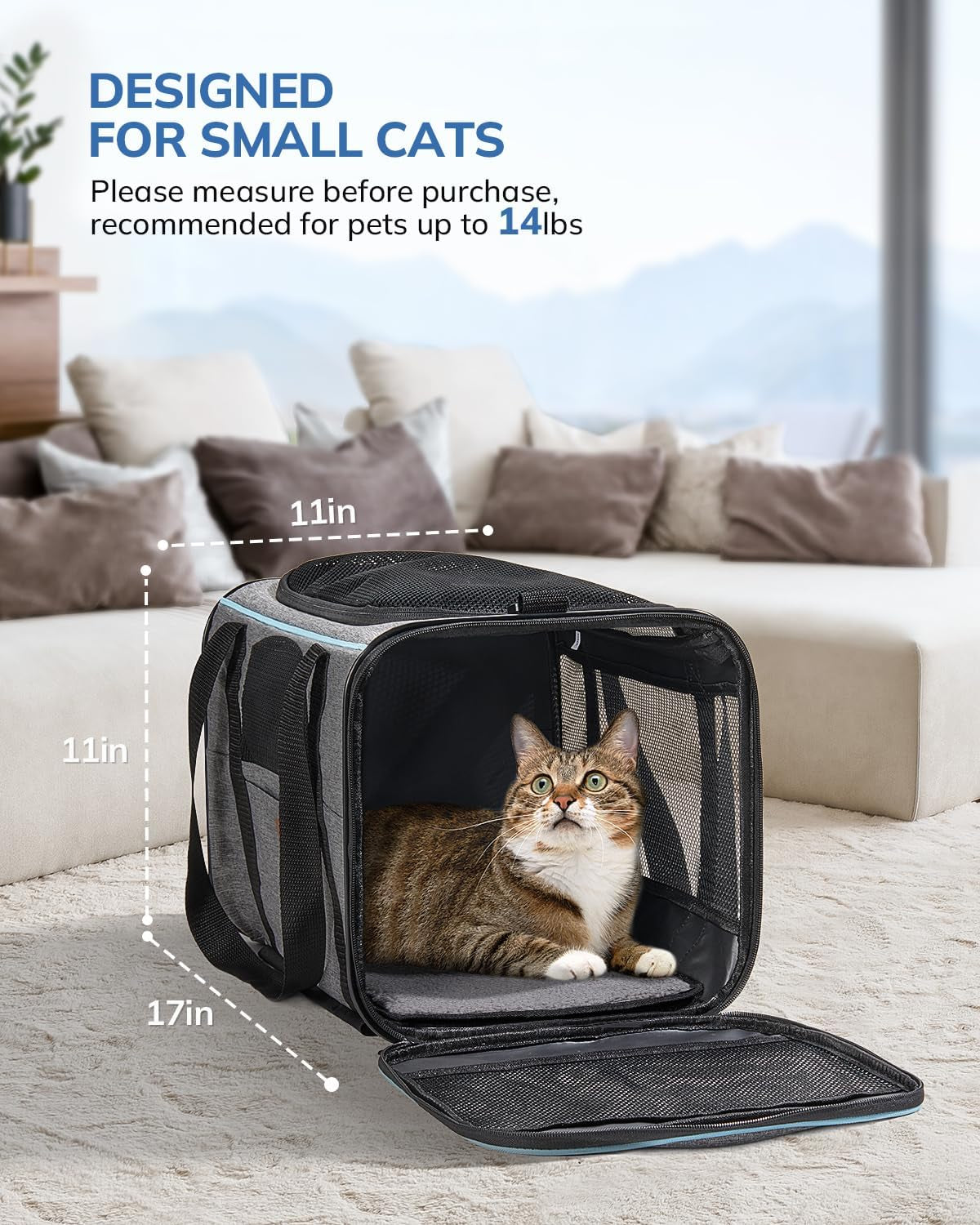Cat Transport Box with Trolley, Foldable Cat Transport Box, Dog Carrier with Wheels for Small Dogs and Cats
