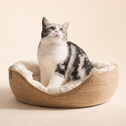 Cloudbed - Eco-Friendly Woven Dog Bed Sofa – Breathable Bamboo Style Pet House for Indoor Dogs & Small Pets