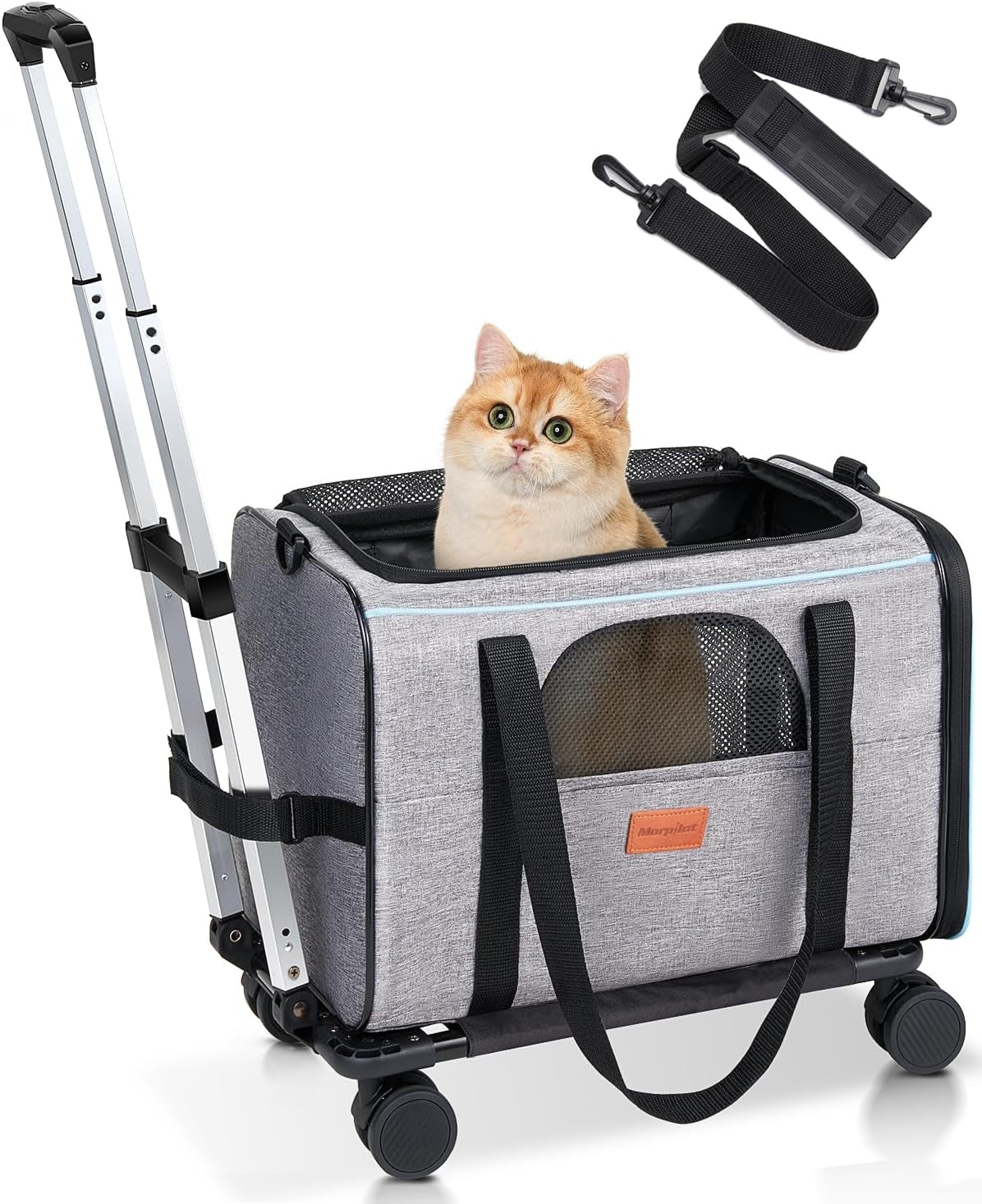 Cat Transport Box with Trolley, Foldable Cat Transport Box, Dog Carrier with Wheels for Small Dogs and Cats