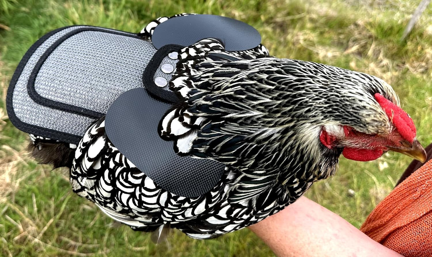 Premium Chicken Saddle, Adjustable Straps to Suit Medium and Large Hens, Poultry Saver, Protector, Apron, Supplies, Products and Equipment, Including Shoulder Cover (Grey Mesh)