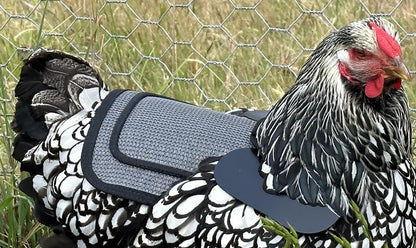 Premium Chicken Saddle, Adjustable Straps to Suit Medium and Large Hens, Poultry Saver, Protector, Apron, Supplies, Products and Equipment, Including Shoulder Cover (Grey Mesh)